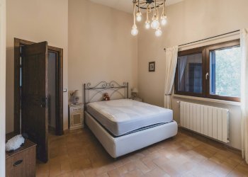 Foto 37 - Azienda agricola Strada delle Torricelle
 
snc, Scansano - foto 37