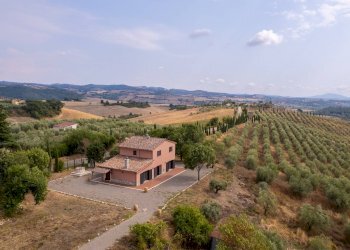 Foto 41 - Azienda agricola Strada delle Torricelle
 
snc, Scansano - foto 41