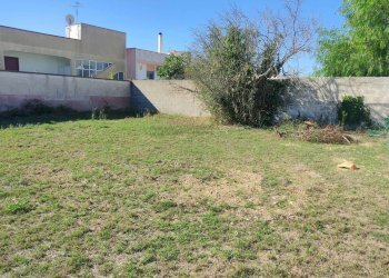 Foto 3 - Terreno edificabile Sanarica - foto 3