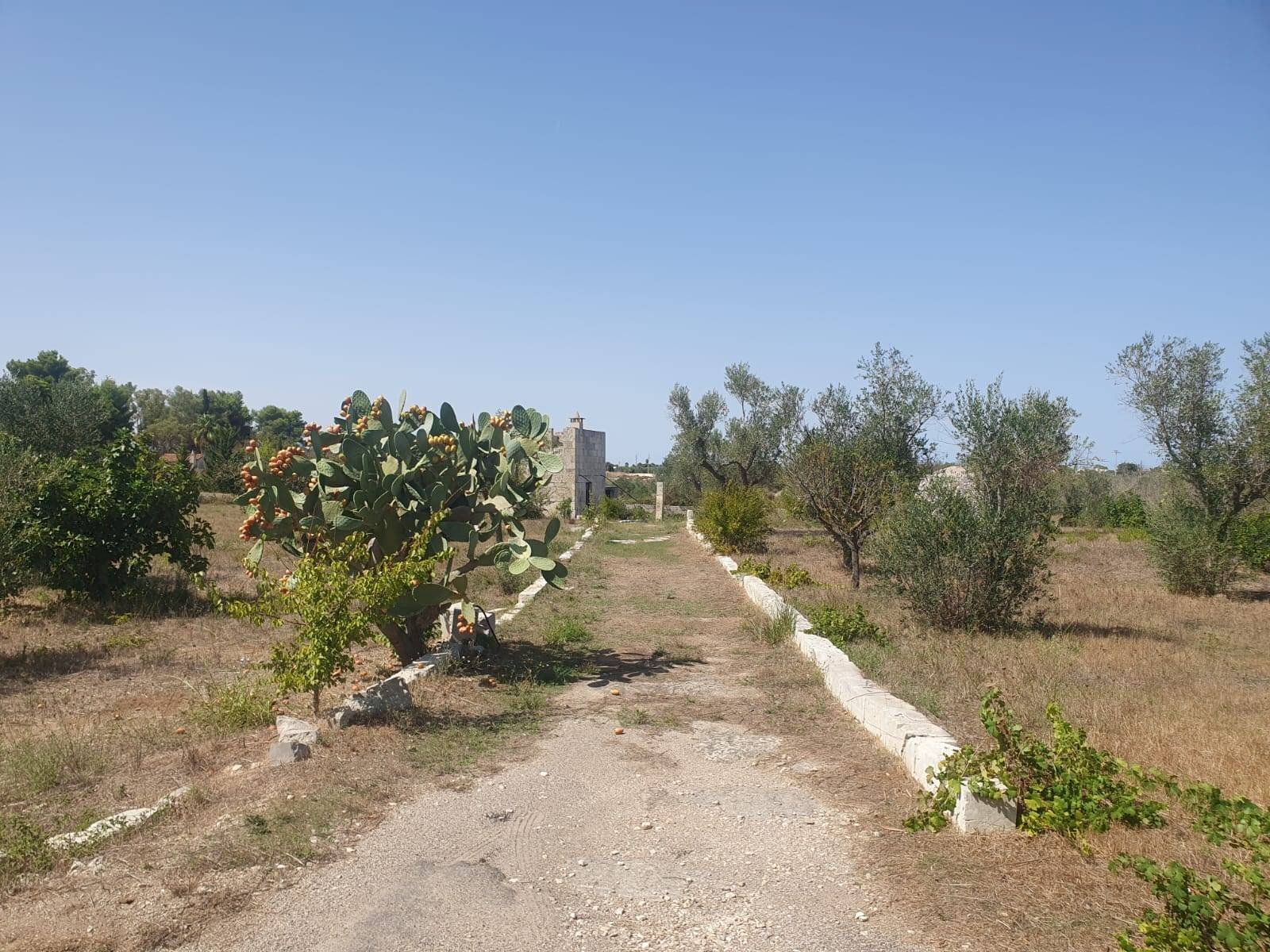 Foto 2 - Terreno agricolo Zollino - foto 2