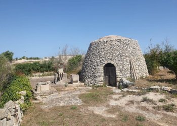 Foto 1 - Terreno agricolo Zollino - foto 1