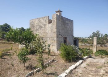 Foto 4 - Terreno agricolo Zollino - foto 4