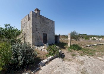 Foto 5 - Terreno agricolo Zollino - foto 5