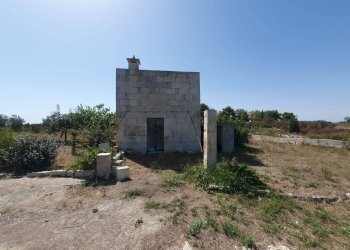 Foto 6 - Terreno agricolo Zollino - foto 6