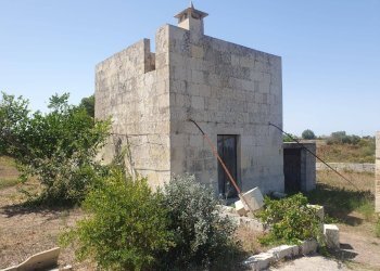 Foto 7 - Terreno agricolo Zollino - foto 7