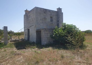 Foto 8 - Terreno agricolo Zollino - foto 8