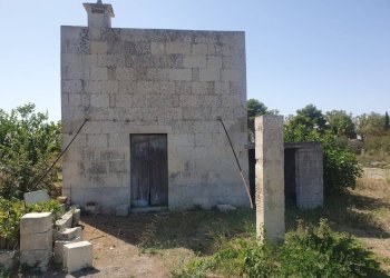 Foto 9 - Terreno agricolo Zollino - foto 9