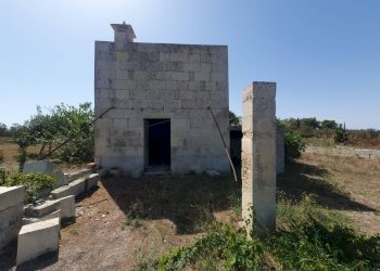 Foto 10 - Terreno agricolo Zollino - foto 10