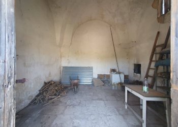 Foto 11 - Terreno agricolo Zollino - foto 11