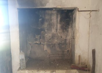 Foto 13 - Terreno agricolo Zollino - foto 13