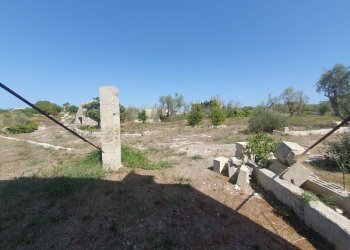 Foto 15 - Terreno agricolo Zollino - foto 15