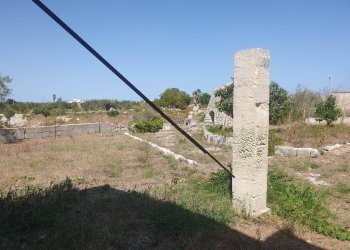 Foto 16 - Terreno agricolo Zollino - foto 16