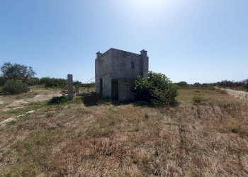 Foto 17 - Terreno agricolo Zollino - foto 17