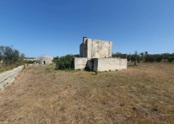 Foto 19 - Terreno agricolo Zollino - foto 19