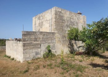 Foto 21 - Terreno agricolo Zollino - foto 21