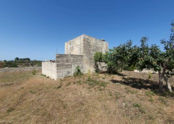 Foto 22 - Terreno agricolo Zollino - foto 22