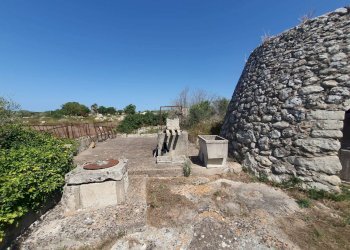 Foto 24 - Terreno agricolo Zollino - foto 24