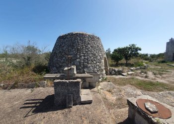 Foto 26 - Terreno agricolo Zollino - foto 26