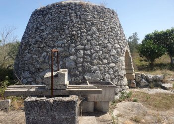 Foto 27 - Terreno agricolo Zollino - foto 27