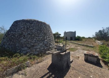 Foto 28 - Terreno agricolo Zollino - foto 28