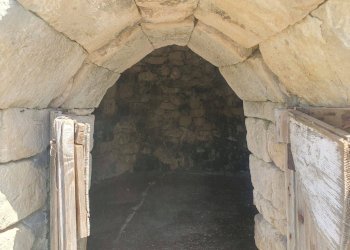 Foto 29 - Terreno agricolo Zollino - foto 29