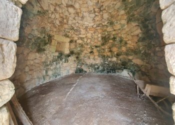 Foto 30 - Terreno agricolo Zollino - foto 30