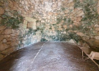 Foto 32 - Terreno agricolo Zollino - foto 32