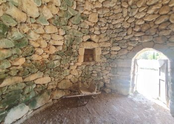 Foto 34 - Terreno agricolo Zollino - foto 34