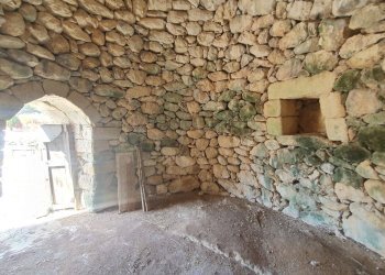 Foto 35 - Terreno agricolo Zollino - foto 35