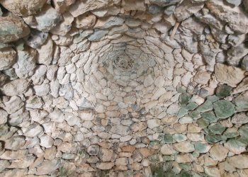 Foto 37 - Terreno agricolo Zollino - foto 37