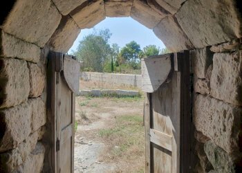 Foto 40 - Terreno agricolo Zollino - foto 40