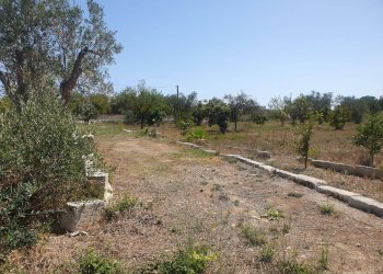 Foto 42 - Terreno agricolo Zollino - foto 42