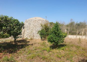 Foto 44 - Terreno agricolo Zollino - foto 44