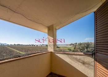 Foto 32 - Villa Grosseto - foto 32