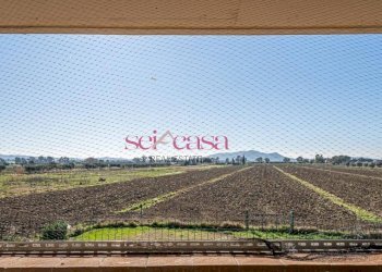 Foto 34 - Villa Grosseto - foto 34