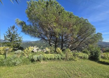 Villetta SALITA MURTA, Genova - foto 9