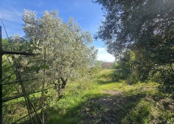 Villetta SALITA MURTA, Genova - foto 19