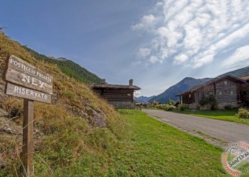 Casa indipendente VILLAGGIO NEX, Valsavarenche - foto 50