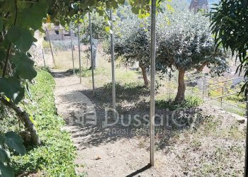 Terratetto - Terracielo Vicolo Carrugetto, 12, Pigna - foto 32