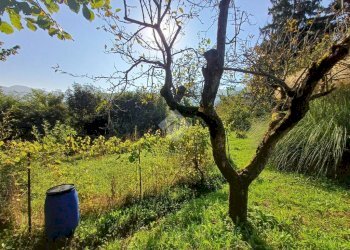 Casa indipendente Via Giulio La Piana, Busalla - foto 15