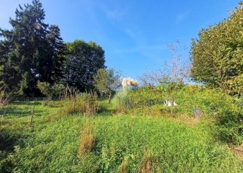 Casa indipendente Via Giulio La Piana, Busalla - foto 20