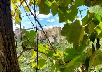 Appartamento Pitigliano - foto 42