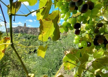 Appartamento Pitigliano - foto 46