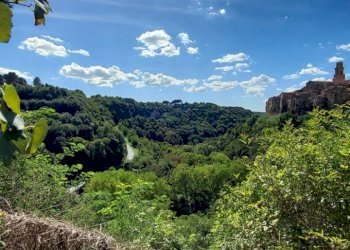 Appartamento Pitigliano - foto 49