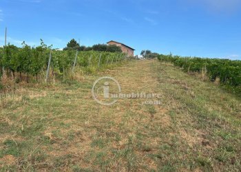 Foto 4 - Terreno agricolo Montepulciano - foto 4