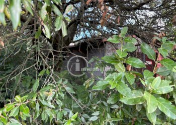 Foto 6 - Terreno agricolo Montepulciano - foto 6