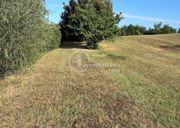 Foto 7 - Terreno agricolo Montepulciano - foto 7