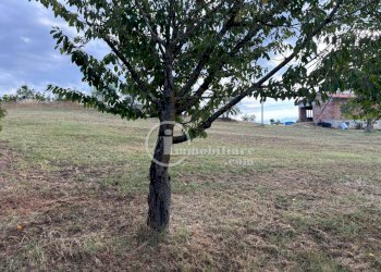 Foto 10 - Terreno agricolo Montepulciano - foto 10