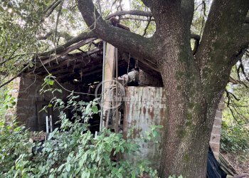 Foto 13 - Terreno agricolo Montepulciano - foto 13