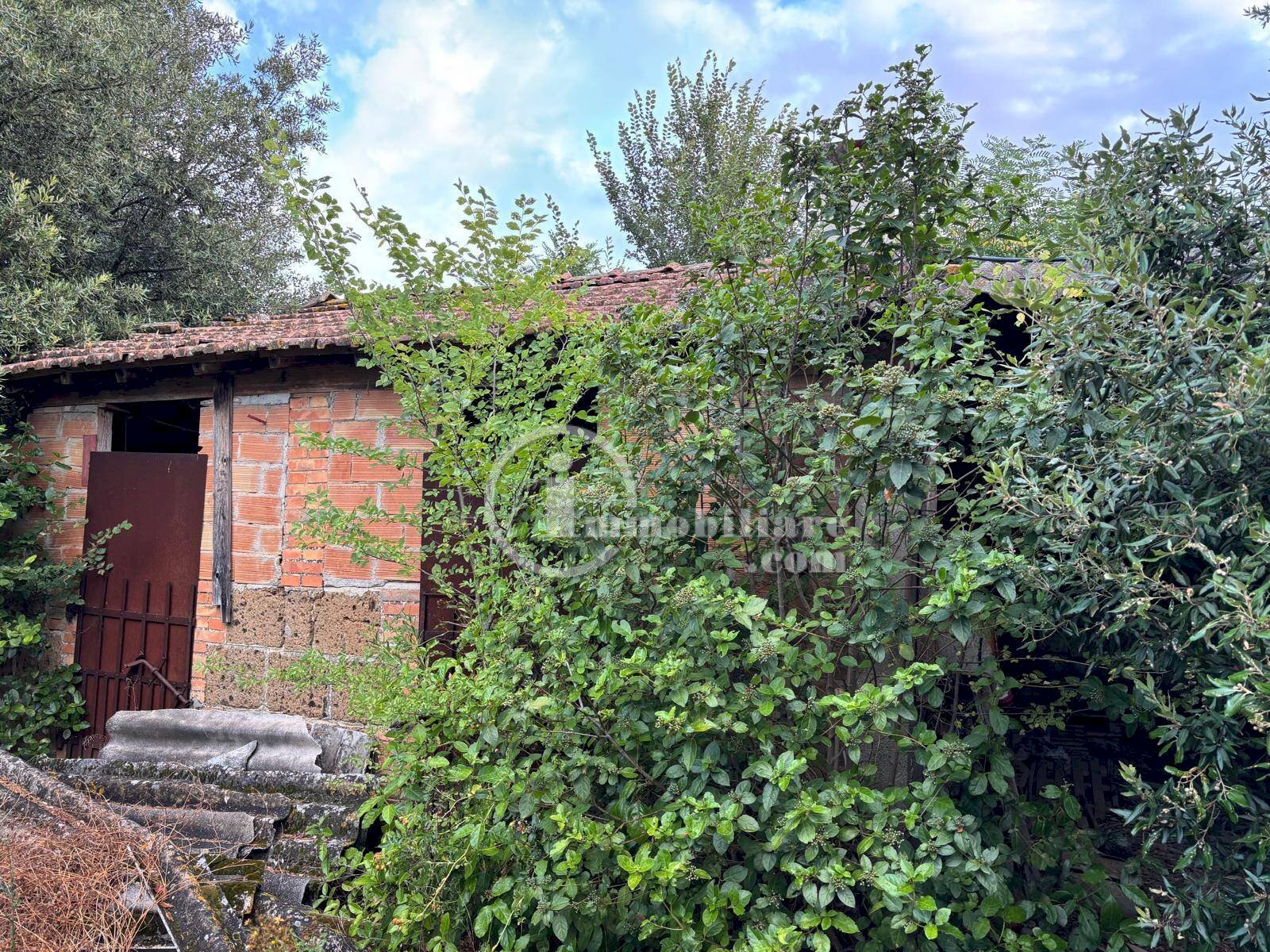 Foto 2 - Terreno agricolo s.s 326 ovest
snc, Montepulciano - foto 2